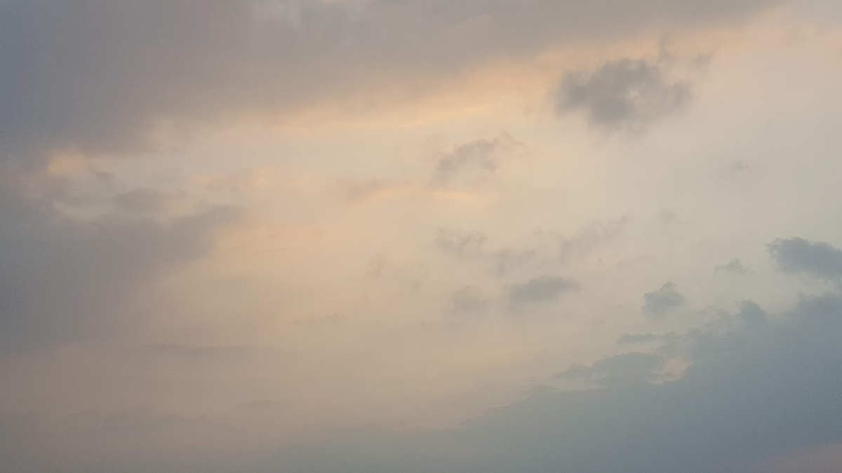 f:id:korokoroblog:20191226052304p:plain f:id:korokoroblog:20191226052304p:plain