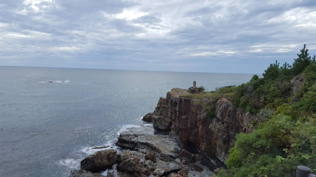 f:id:korokoroblog:20191228024617p:plain f:id:korokoroblog:20191228024617p:plain