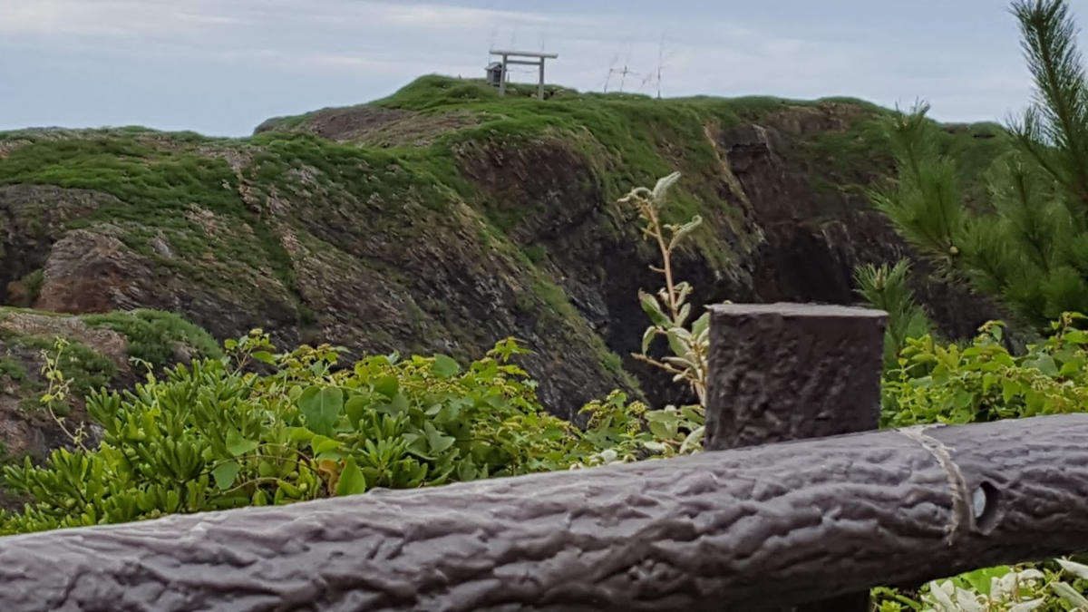 f:id:korokoroblog:20191228024707p:plain f:id:korokoroblog:20191228024707p:plain