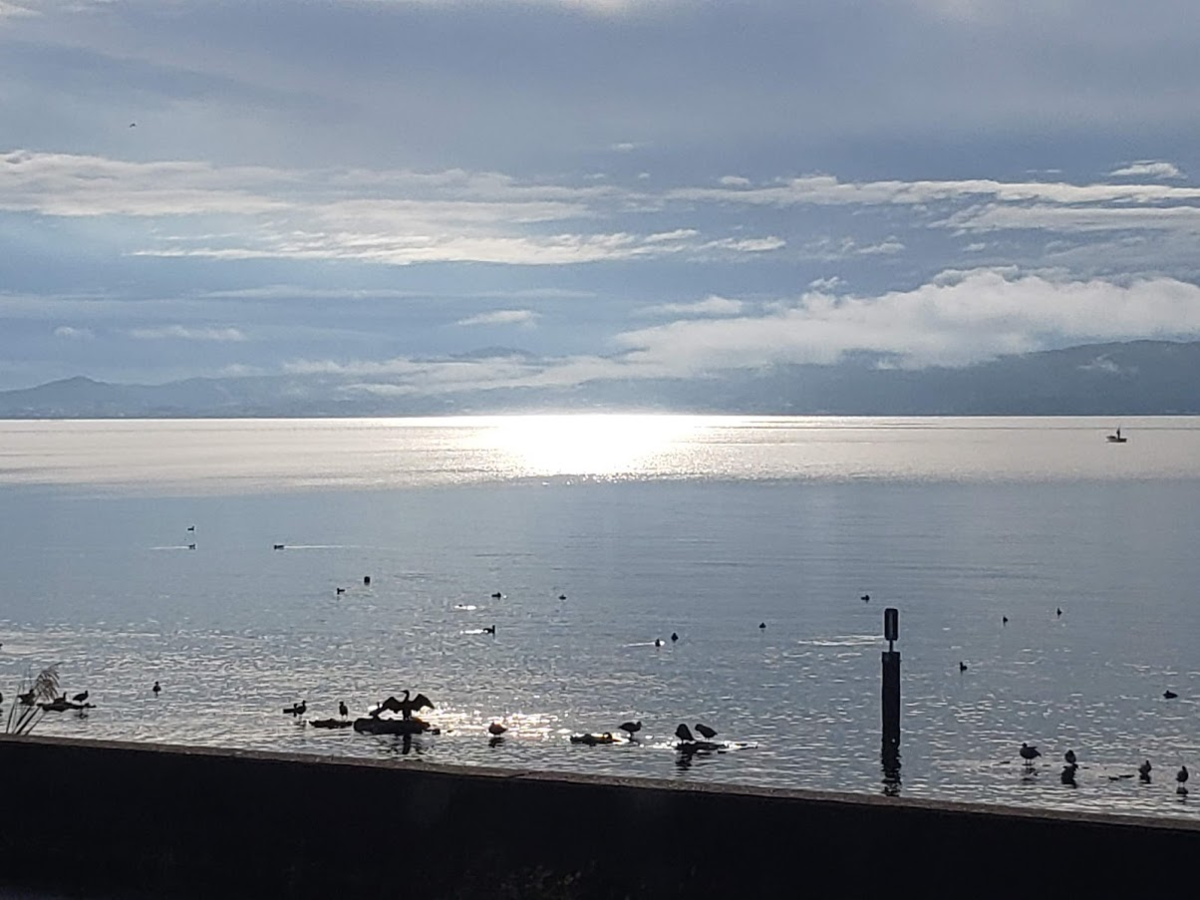 f:id:korokoroblog:20191228052105p:plain f:id:korokoroblog:20191228052105p:plain