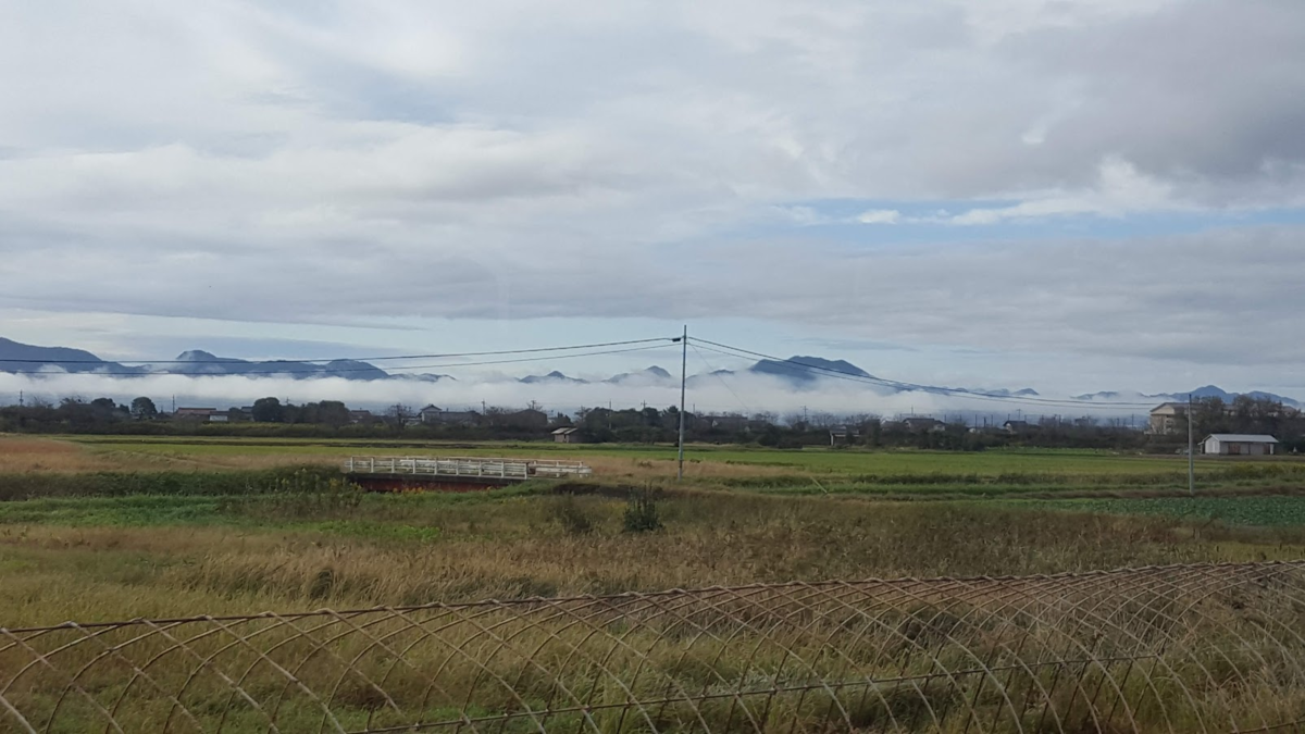 f:id:korokoroblog:20191228052248p:plain f:id:korokoroblog:20191228052248p:plain