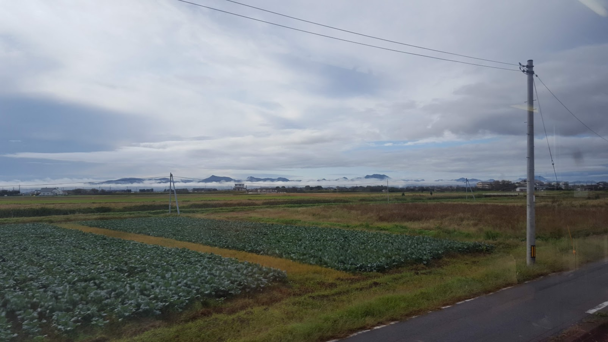 f:id:korokoroblog:20191228052351p:plain f:id:korokoroblog:20191228052351p:plain