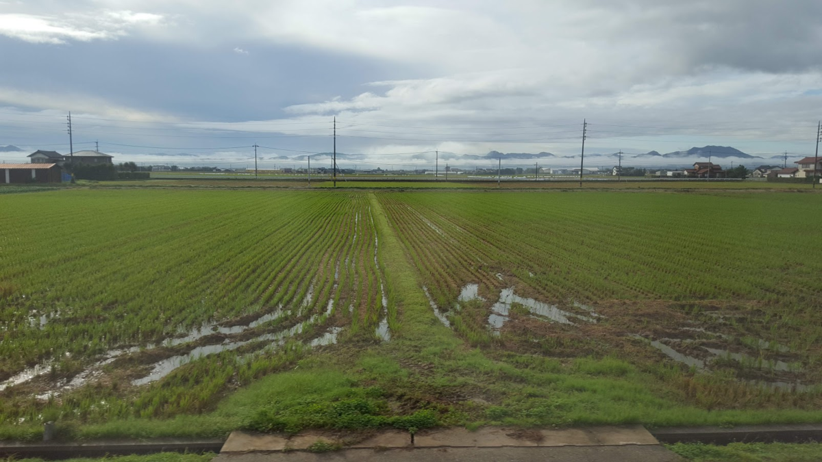 f:id:korokoroblog:20191228052646p:plain f:id:korokoroblog:20191228052646p:plain