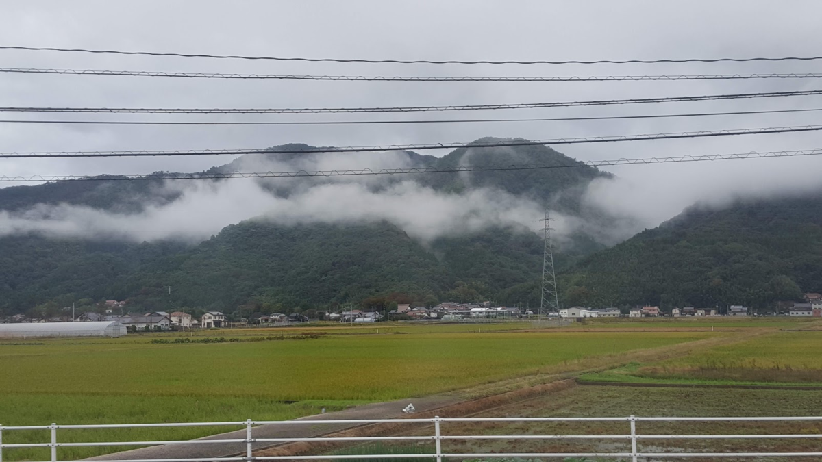 f:id:korokoroblog:20191228052815p:plain f:id:korokoroblog:20191228052815p:plain