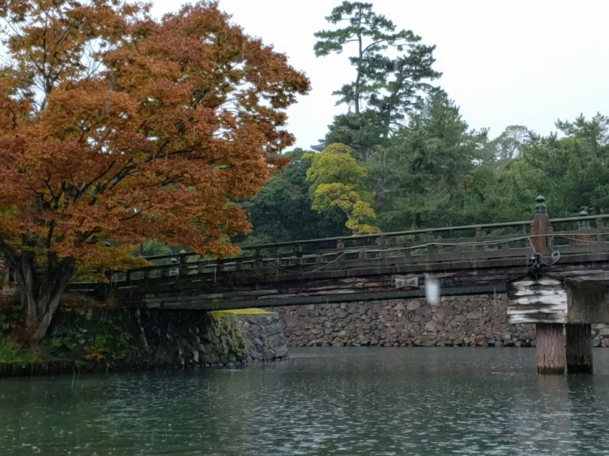 f:id:korokoroblog:20191228155811p:plain f:id:korokoroblog:20191228155811p:plain