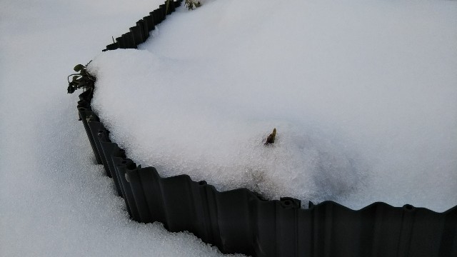 みぞれで、庭がまたすっぽりと雪景色 - korokumi’s blog