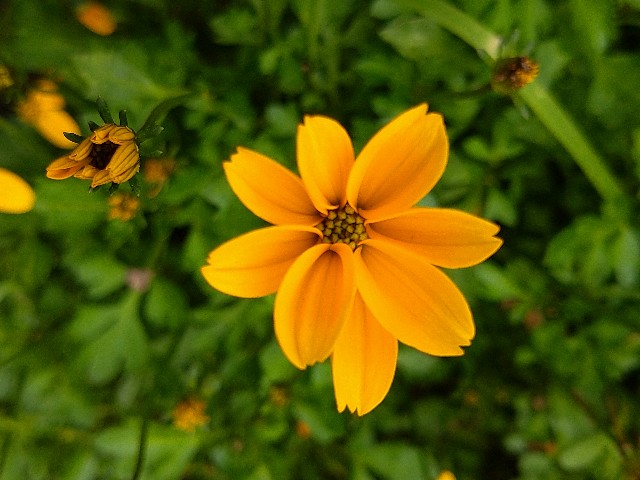 f:id:korokumi:20200927133421j:image