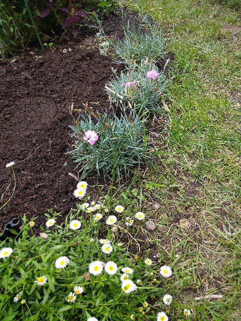 f:id:korokumi:20200927181005j:image