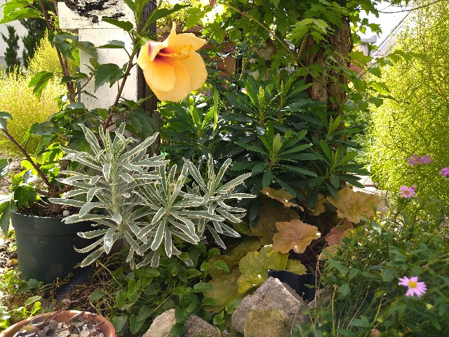 f:id:korokumi:20200927181245j:image