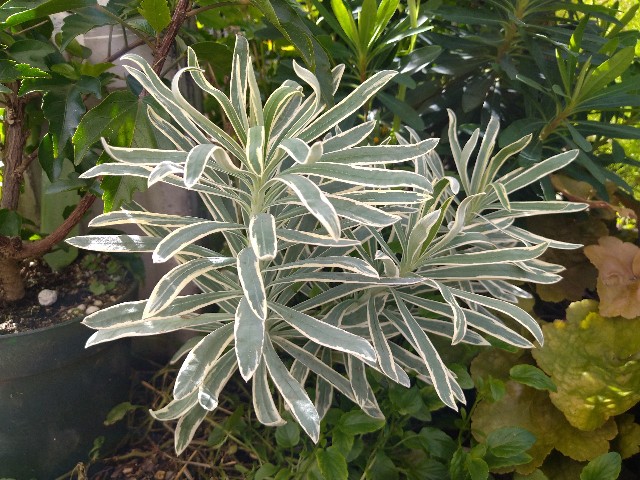 f:id:korokumi:20200927181314j:image