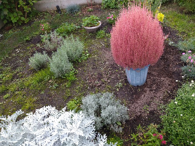 f:id:korokumi:20201005082329j:image