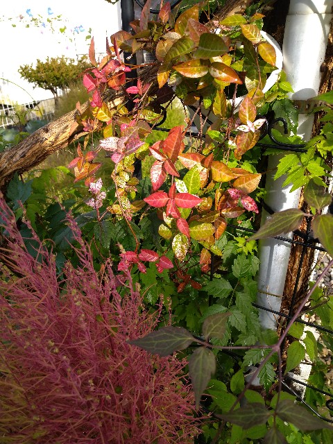 f:id:korokumi:20201005125925j:image