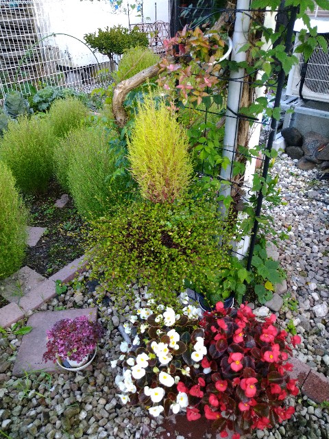 f:id:korokumi:20201005131219j:image