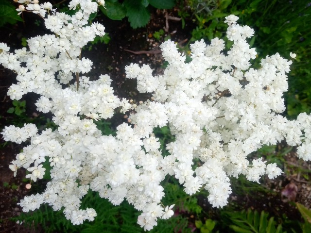 f:id:korokumi:20210615113813j:image f:id:korokumi:20210615113813j:image