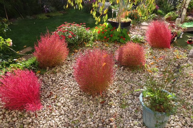 f:id:korokumi:20211022162835j:image f:id:korokumi:20211022162835j:image