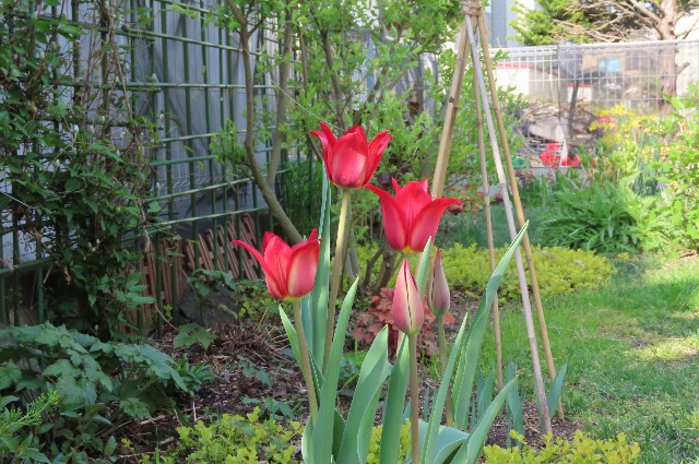 f:id:korokumi:20220507100359j:image f:id:korokumi:20220507100359j:image