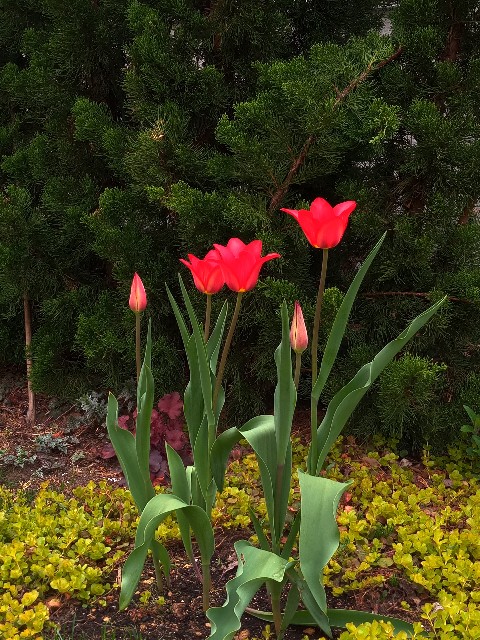 f:id:korokumi:20220507101850j:image f:id:korokumi:20220507101850j:image