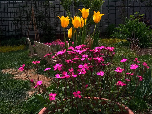 f:id:korokumi:20220507103137j:image f:id:korokumi:20220507103137j:image