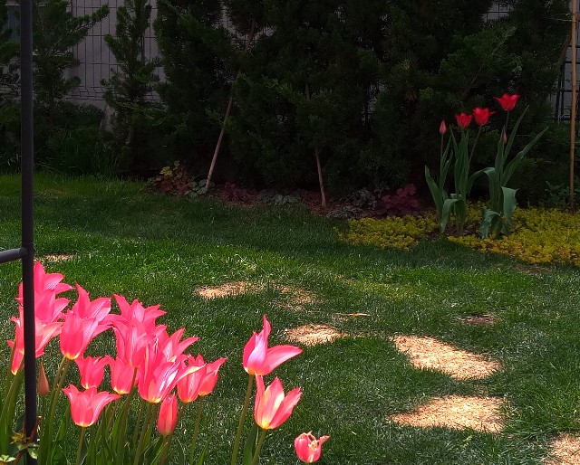 f:id:korokumi:20220507103237j:image f:id:korokumi:20220507103237j:image