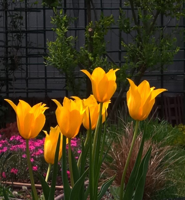 f:id:korokumi:20220507103429j:image f:id:korokumi:20220507103429j:image