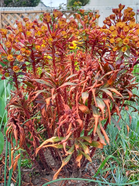 f:id:korokumi:20220507120253j:image f:id:korokumi:20220507120253j:image