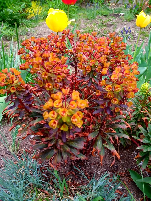 f:id:korokumi:20220507120304j:image f:id:korokumi:20220507120304j:image