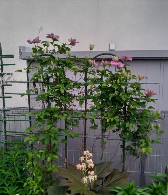 f:id:korokumi:20220524181127j:image f:id:korokumi:20220524181127j:image