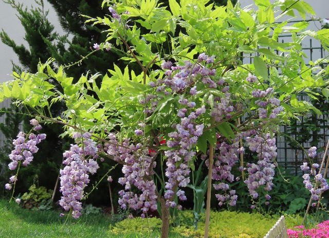 f:id:korokumi:20220526194516j:image f:id:korokumi:20220526194516j:image