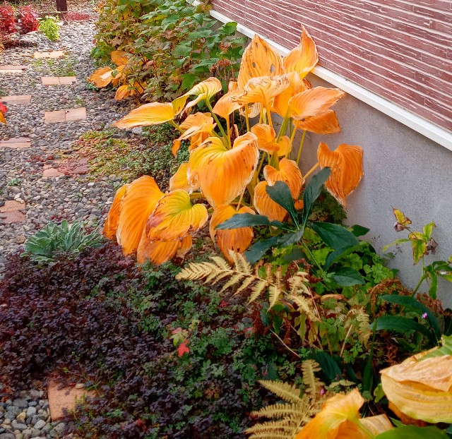 f:id:korokumi:20221107140033j:image f:id:korokumi:20221107140033j:image