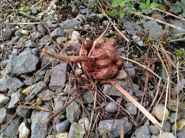 f:id:korokumi:20230412053634j:image f:id:korokumi:20230412053634j:image