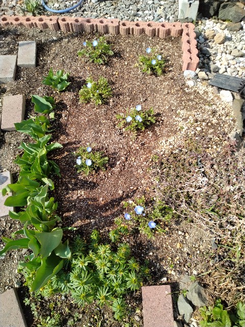 f:id:korokumi:20230412054205j:image f:id:korokumi:20230412054205j:image