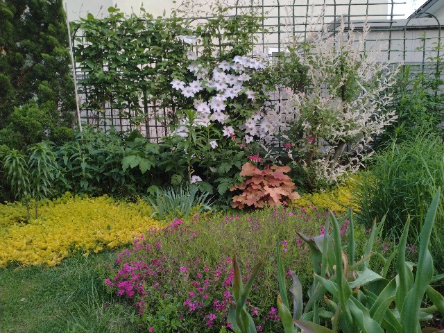 f:id:korokumi:20230529190348j:image