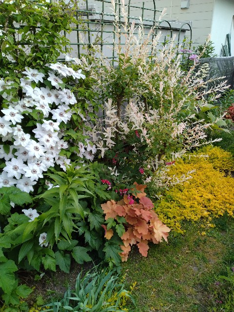 f:id:korokumi:20230601200443j:image