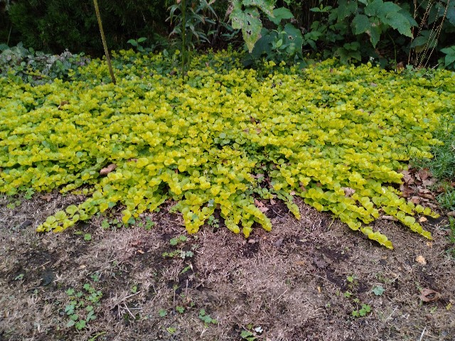 f:id:korokumi:20230926182359j:image f:id:korokumi:20230926182359j:image