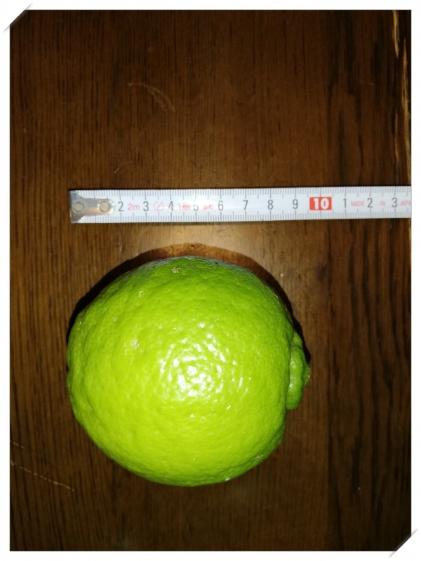 Should I grow lemon in the garden? Or is it better to grow in bowls ...
