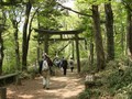 鳥居をくぐって探鳥