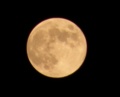 [月]十五夜