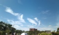 [雲]魚に見える