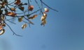 [空]