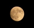 [月]十五夜