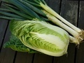 [野菜]収穫