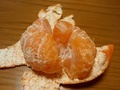 [果物]みかん千球舌慣らし
