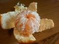 [果物]みかん千球舌慣らし