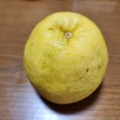 [食]2024.8.4河内晩柑