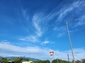 [自然][空]2024.10.15