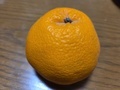 [食]2026.4.15おやつ