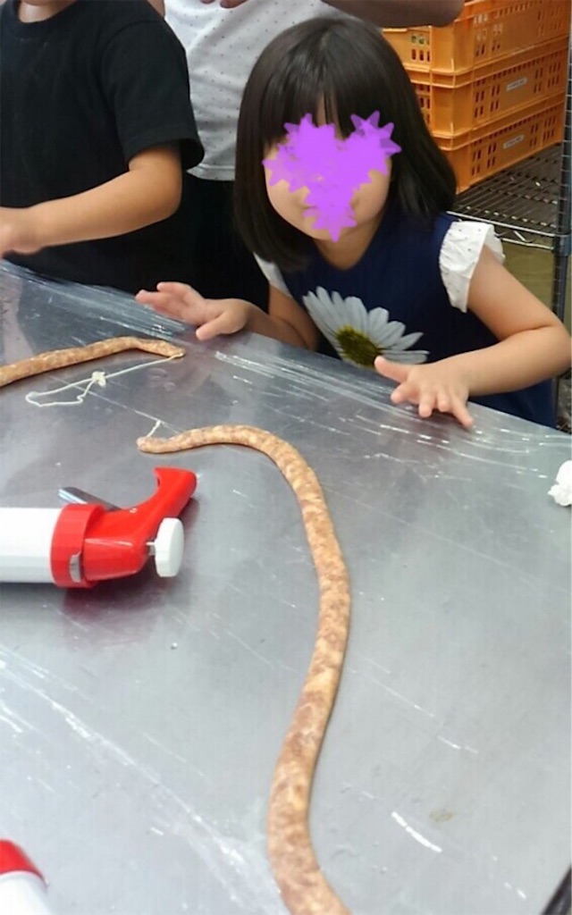 f:id:koronawashibaken:20190814102520j:image