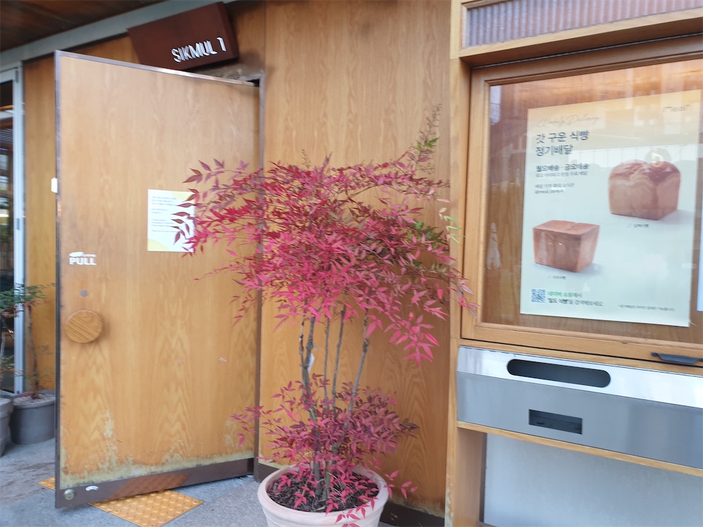 f:id:koronawashibaken:20201105184921j:image