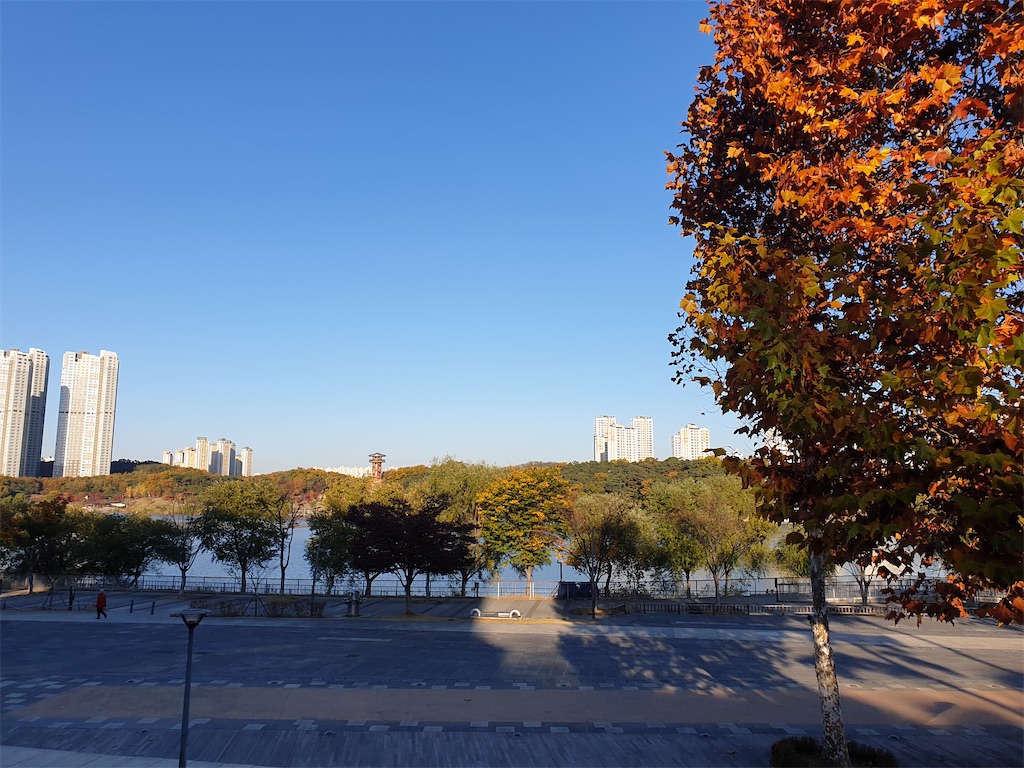f:id:koronawashibaken:20201105184945j:image