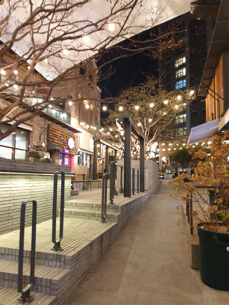 f:id:koronawashibaken:20201105185827j:image